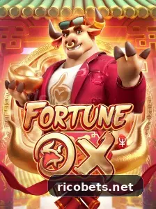 Imagem do app rico bet em atualização constante com foco na melhor experiência
